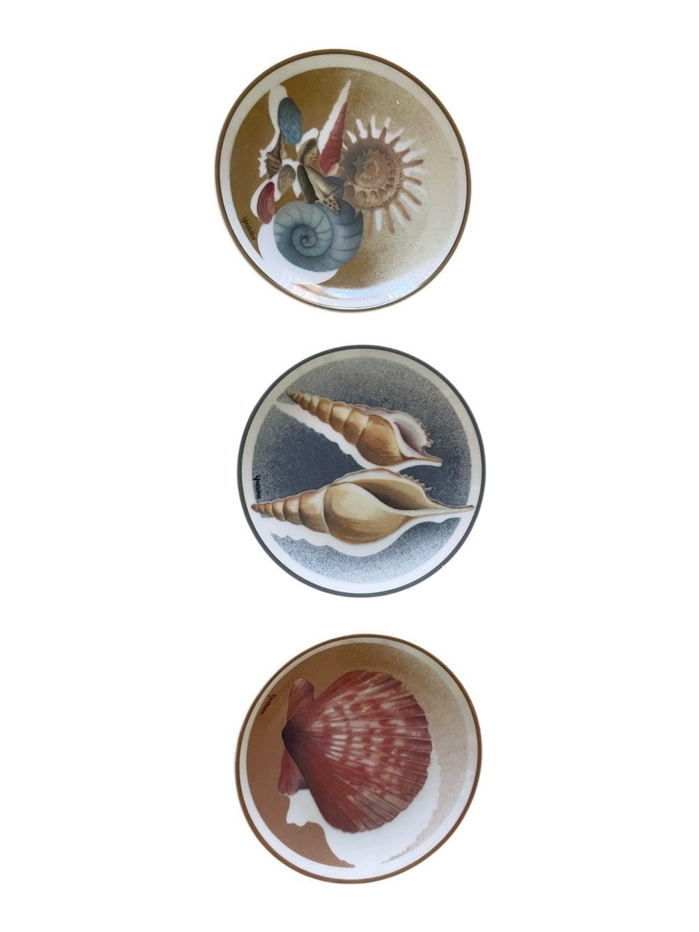 Vintage Treasures of the Sea Yoshiko Abe 5” Shell Wall Hangings Wall Hooks 2984